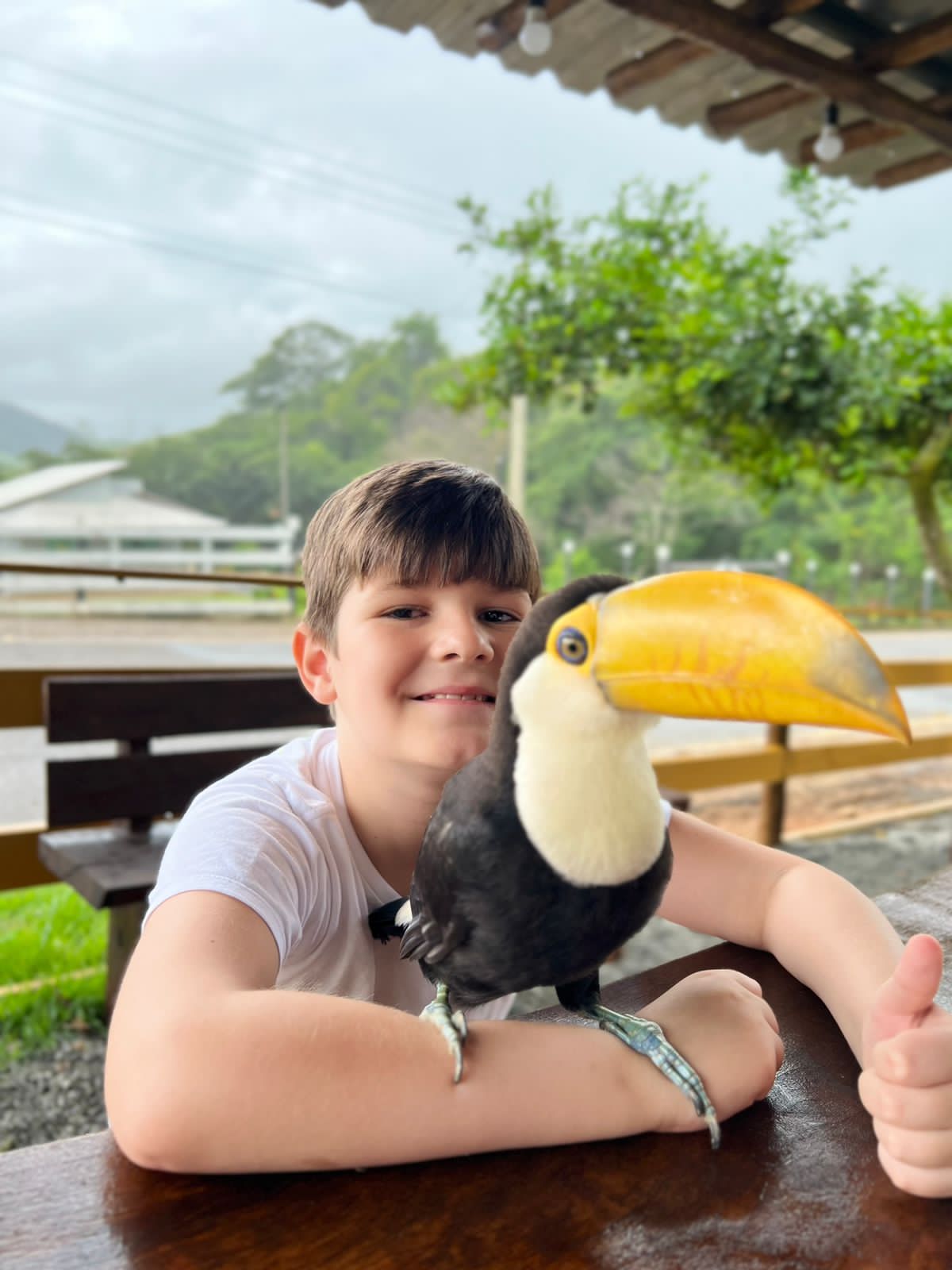 Pastelaria Vó Filinha