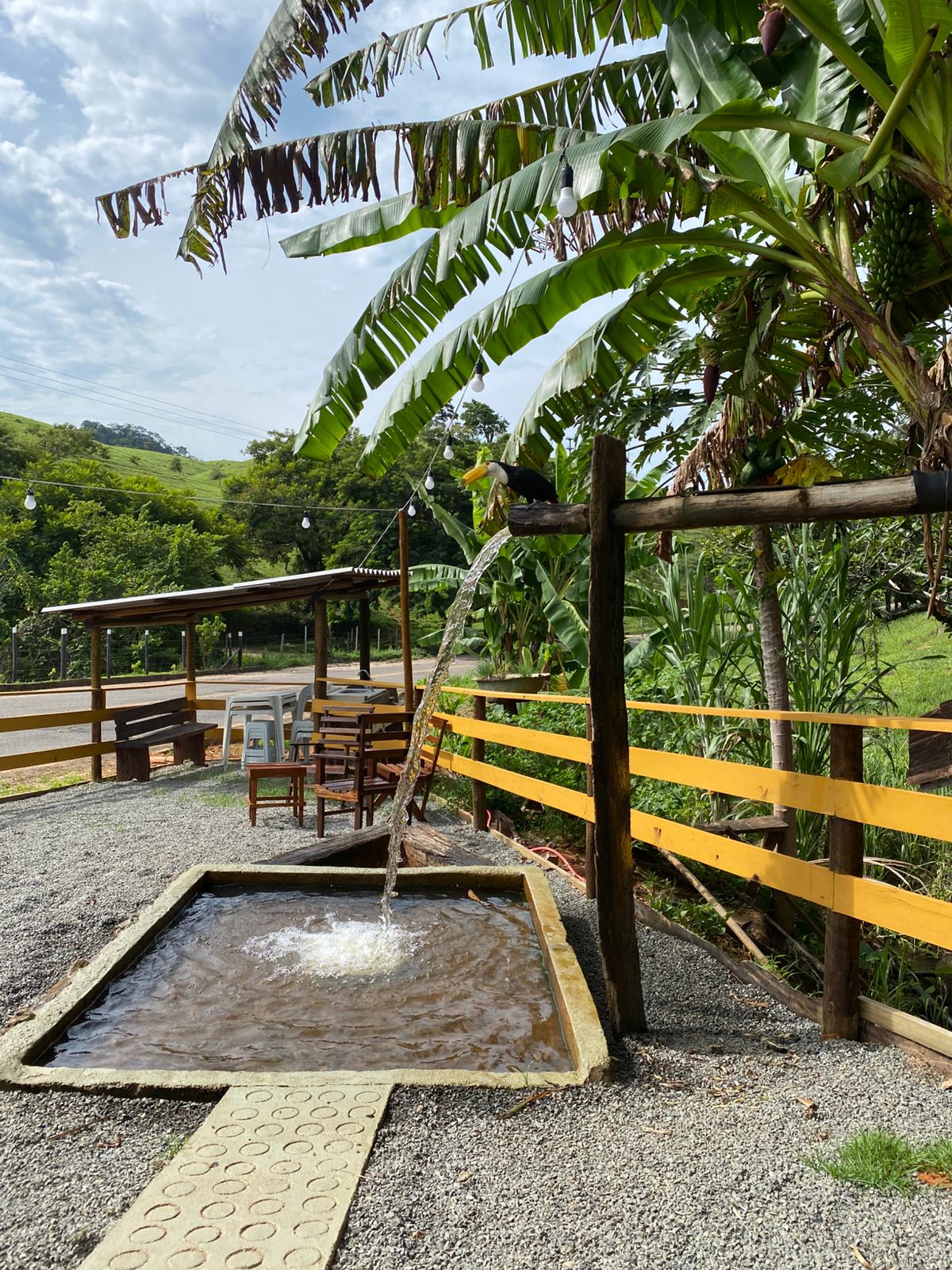 Pastelaria Vó Filinha